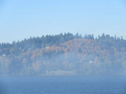 mountain fog