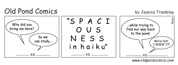 Spaciousness in haiku, by Bruce Ross at HNA 2011 (Seattle, WA)