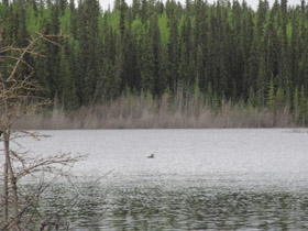 Ice Lake Whitehorse Yukon